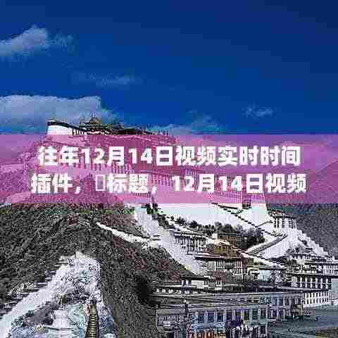 12月14日视频实时时间插件，与自然共舞，心灵之旅启程