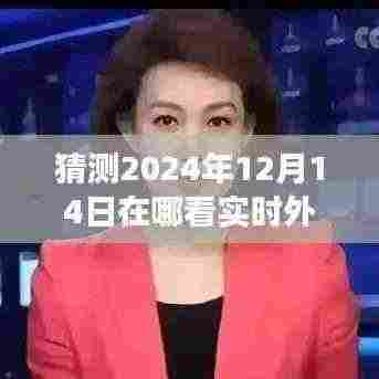 探索未来外汇汇率查询点，心灵港湾与自然美景之旅，预测实时外汇汇率查询体验（2024年12月14日）