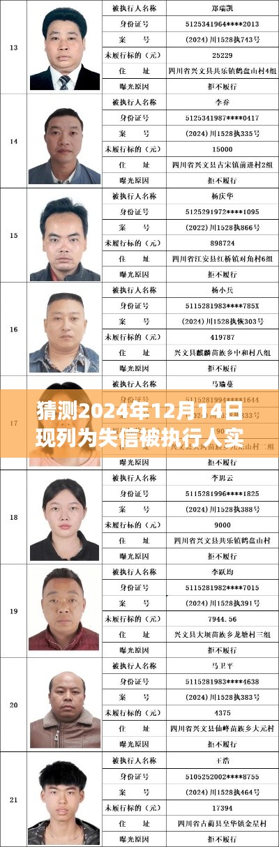 失信之影,聚焦失信被执行人的故事与影响,揭示2024年失信风波背后的真相