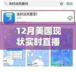 栖鸟于泉 第4页