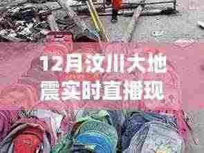 汶川大地震实时直播现场，全面评测与详细介绍