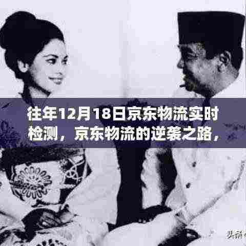 京东物流逆袭之路，实时检测背后的变化学习与自信成就之源