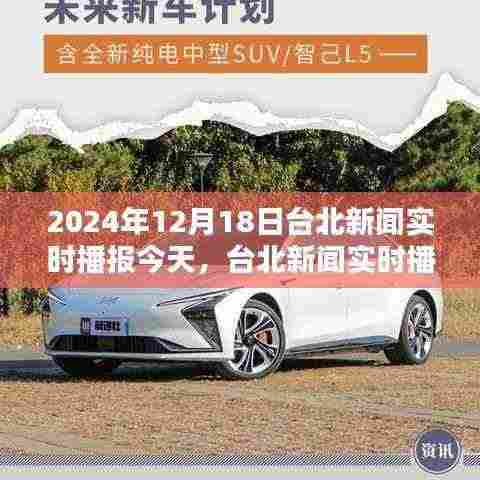 铺张扬厉 第4页