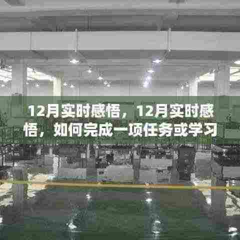 12月实时感悟，完成任务的详细步骤指南与学习新技能的实用指南