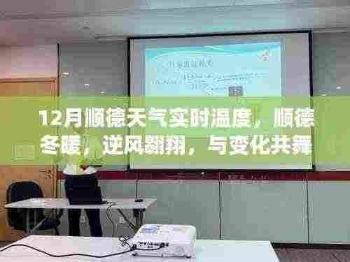 顺德冬季实时天气温度，逆风翱翔中的温度智慧
