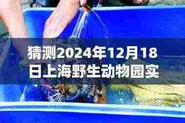 揭秘，2024年12月18日上海野生动物园天气预报深度解析与实时天气状况揭秘。