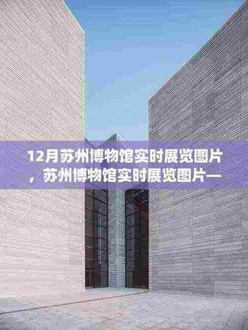 苏州博物馆十二月实时展览图片，古典与现代的交融之美探索