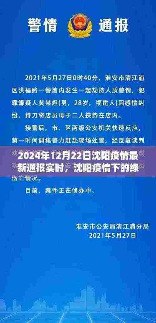 沈阳疫情下的绿色避风港，疫情最新通报与探索自然美景之旅