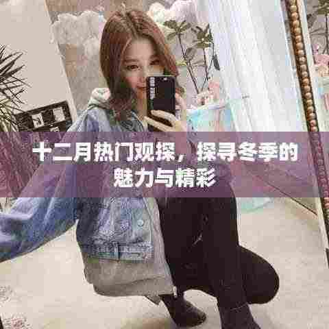 十二月观探热点，冬季魅力与精彩探寻