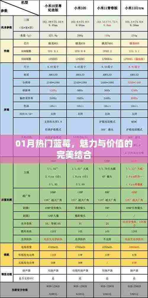 一月热门蓝莓，魅力与价值的完美交融