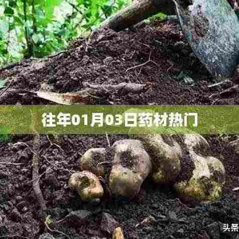 天生万物，唯人为贵 第4页