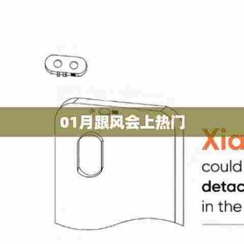 01月跟风趋势，热门话题揭秘