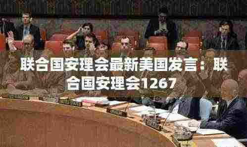 联合国安理会最新美国发言：联合国安理会1267 