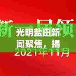 光明盐田新闻聚焦，揭示盐田区最新发展与亮点