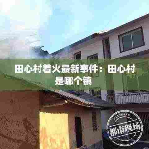 质而不俚 第4页