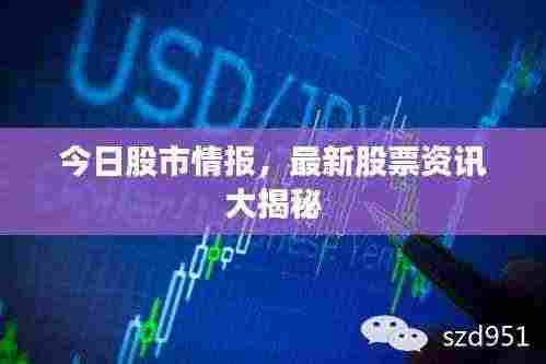 今日股市情报，最新股票资讯大揭秘