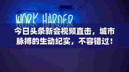 今日头条新会视频直击，城市脉搏的生动纪实，不容错过！