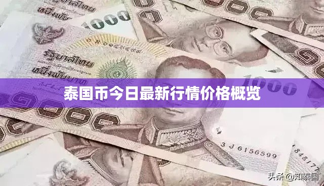 泰国币今日最新行情价格概览