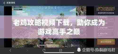 老鸡攻略视频下载，助你成为游戏高手之巅