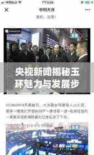 央视新闻揭秘玉环魅力与发展步伐，探寻独特风采与前行步伐