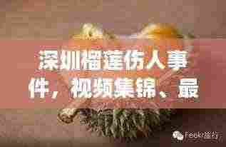 沉厚寡言 第3页