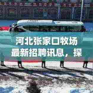 河北张家口牧场最新招聘讯息，探索职业新机遇，理想择业之地