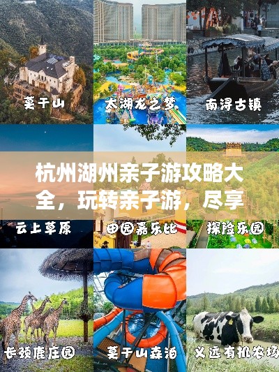 料事如神 第3页