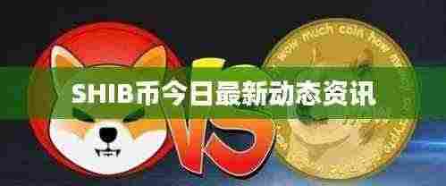 SHIB币今日最新动态资讯