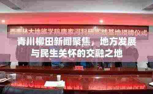 青川柳田新闻聚焦，地方发展与民生关怀的交融之地