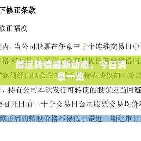 靖远转债最新动态，今日消息一览