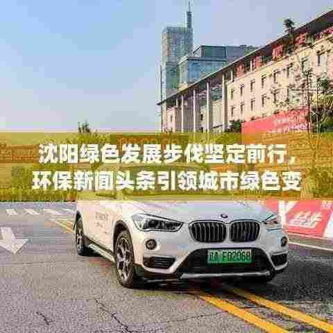 沈阳绿色发展步伐坚定前行，环保新闻头条引领城市绿色变革