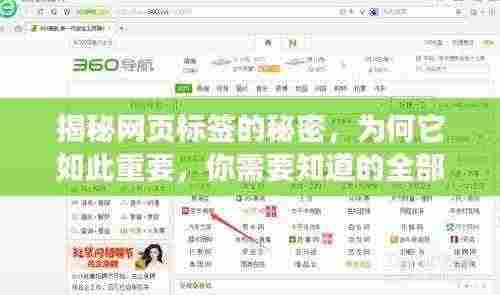 揭秘网页标签的秘密，为何它如此重要，你需要知道的全部内容！
