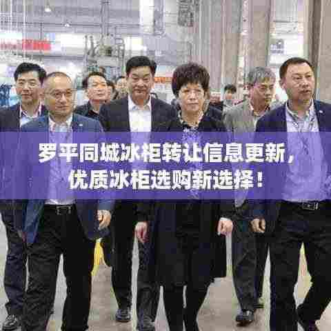 罗平同城冰柜转让信息更新，优质冰柜选购新选择！