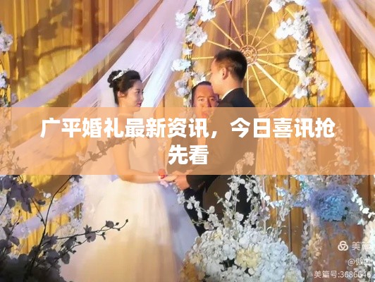 鸟革翬飞 第3页