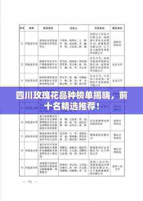 四川玫瑰花品种榜单揭晓，前十名精选推荐！