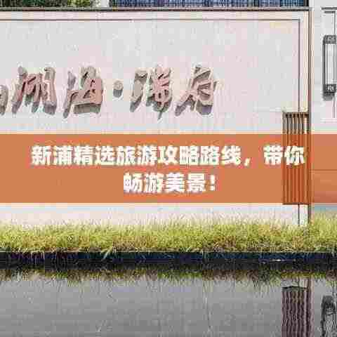 新浦精选旅游攻略路线，带你畅游美景！