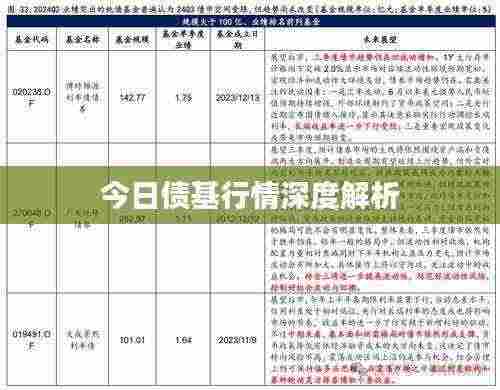 今日债基行情深度解析