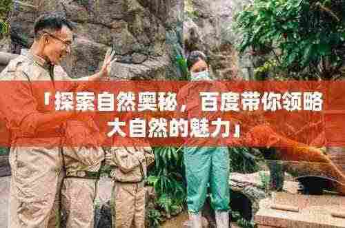 「探索自然奥秘，百度带你领略大自然的魅力」