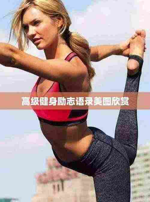 高级健身励志语录美图欣赏