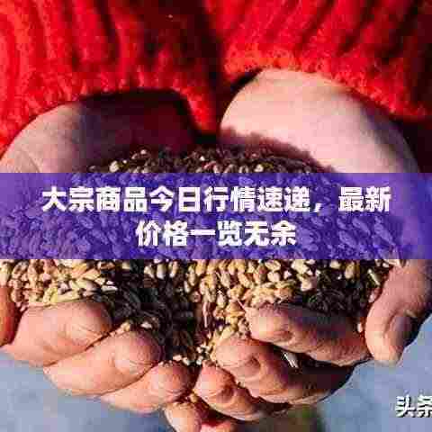 大宗商品今日行情速递，最新价格一览无余