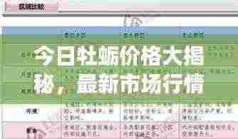 今日牡蛎价格大揭秘，最新市场行情查询