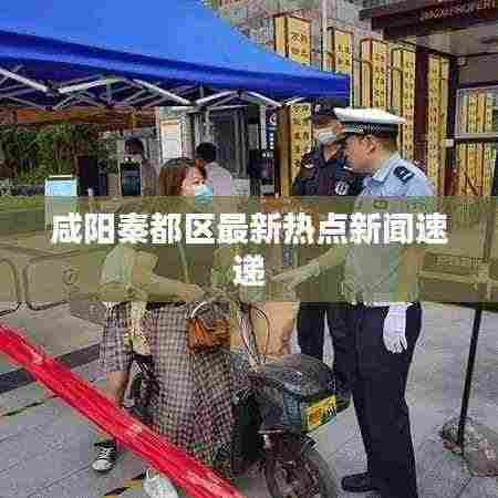 咸阳秦都区最新热点新闻速递