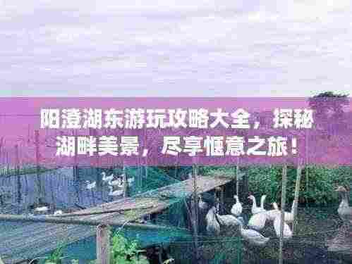 阳澄湖东游玩攻略大全，探秘湖畔美景，尽享惬意之旅！