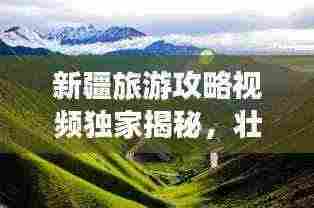 新疆旅游攻略视频独家揭秘，壮美路线探索新疆之旅！