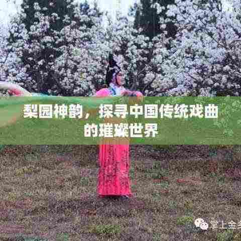 梨园神韵，探寻中国传统戏曲的璀璨世界