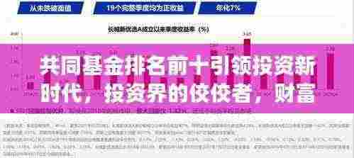 共同基金排名前十引领投资新时代，投资界的佼佼者，财富增长的领头羊