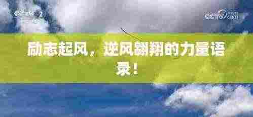 励志起风，逆风翱翔的力量语录！