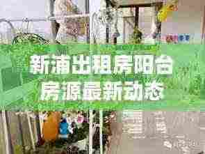 新浦出租房阳台房源最新动态