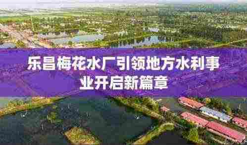 乐昌梅花水厂引领地方水利事业开启新篇章