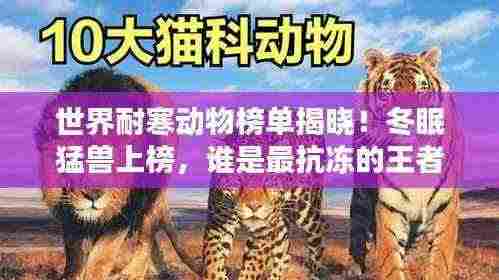 世界耐寒动物榜单揭晓！冬眠猛兽上榜，谁是最抗冻的王者？
